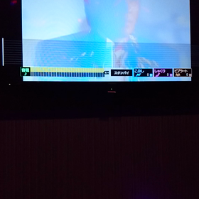 カサブランカ.ダンディ……(ヒトカラ)の画像