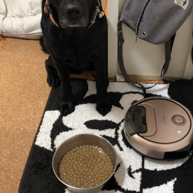 視覚障害✖️選挙の画像