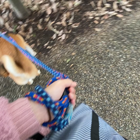 夜中の地震の画像