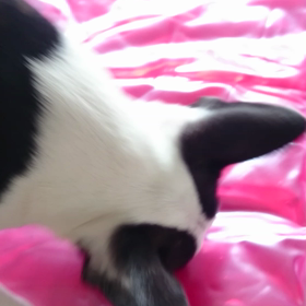 防犯。。の画像