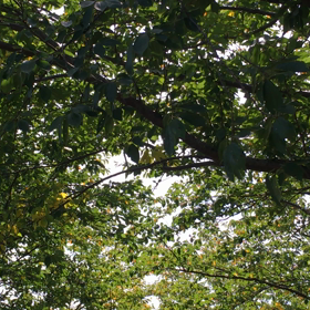 今年最後の…の画像