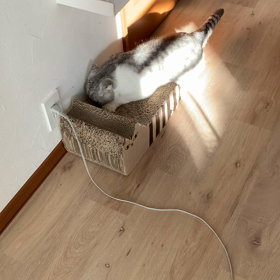 3月スケジュール。の画像