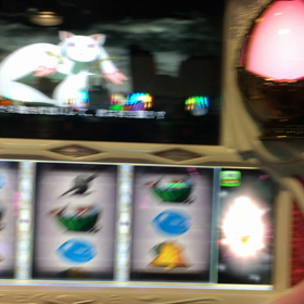 プラス5200枚ー(^^)の画像