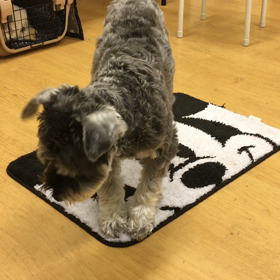 ビビ編②（文句多いわぁ。）の画像