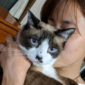 猫はこう思ってる？の画像