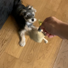 私頑張ってるよね？の画像