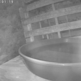 すぎぴたんの事件簿シーズン3　310話（百戦錬磨なヤマガラ）の画像