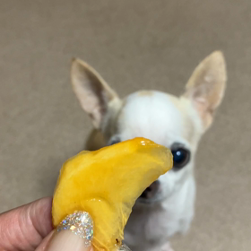 和歌山の柿の画像