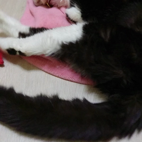 今が大切の画像