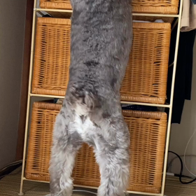 リアルタイムで焦った！の画像