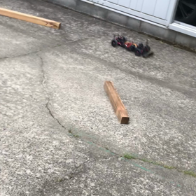 サーキットに行きたいの画像