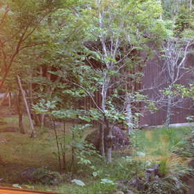 鳥の声とか虫の声とか②の画像