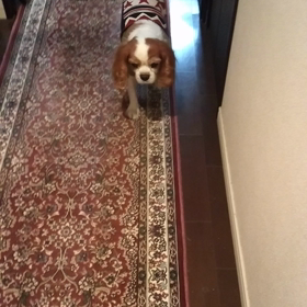 原因が分からない(T_T)の画像