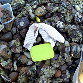 キスを求めての画像