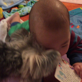 歌絵本。の画像