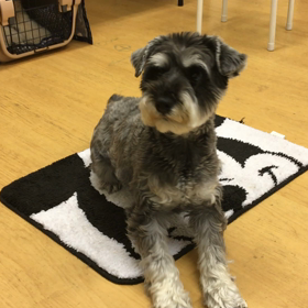 ビビ編①の画像