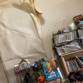 TONIGHOhばらしの画像