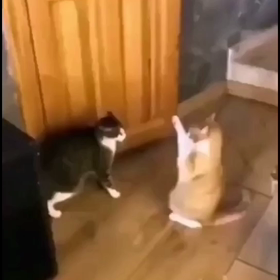 この記事の画像