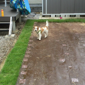 ココを探せの画像