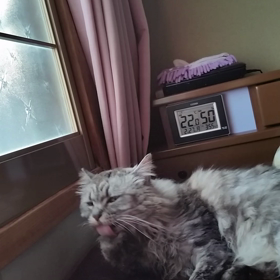 そこ美味しいの？の画像