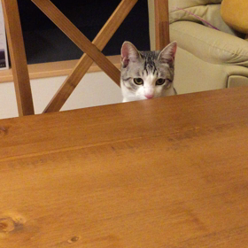 寝起きですなの画像