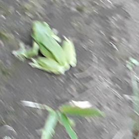 ☀️ポカポカ☀️の画像