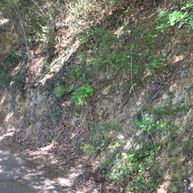 ” バシャール ：私達の手で”の画像