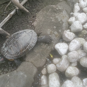 鎌倉散策日記続きの画像