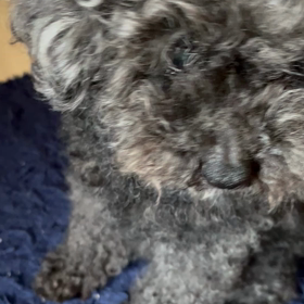 暑い一日の画像