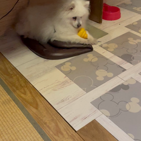 ウンコ渡されてもの画像