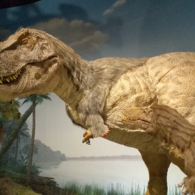 番外編：アラフォー婚活に必要な心構えの画像