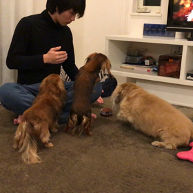 おやつ欲しいよぉの画像