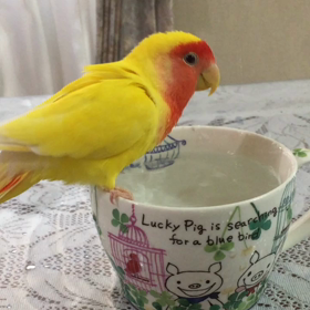 癒される時間✨の画像