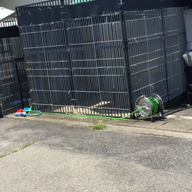 ★興奮しすぎて…★の画像