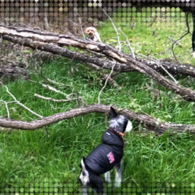 久々の再会の画像