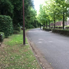 8月11日 特別練習(1000m)ゴール②の画像