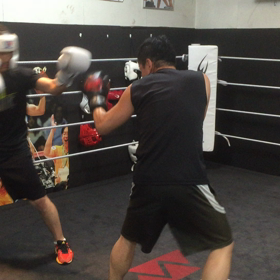 マスボクシングの画像