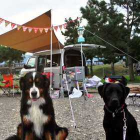 マキノサニービーチの画像