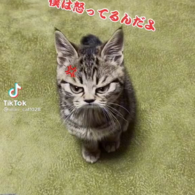 コロナ感染者の画像