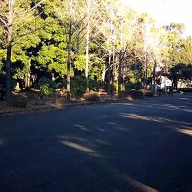 越谷春季記録会リレー選考会(女子)③の画像