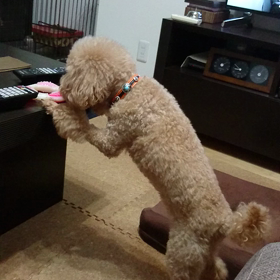 【ストレス発散には掘るのが一番！】の画像