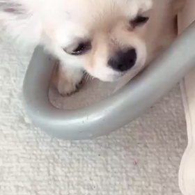 行かないでママ...の画像