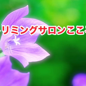 スライドショーの画像