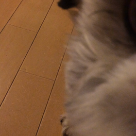 風の音が怖いの画像