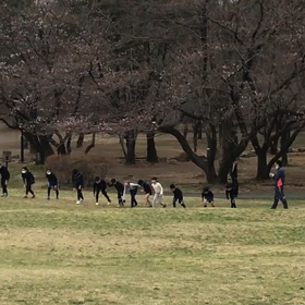 芝生坂ダッシュ(Bグループ)③の画像