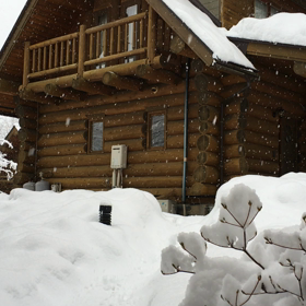 みーつけた！    動画の画像