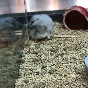 乗ってるねの画像