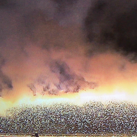 退院が、良いことなのか？の画像