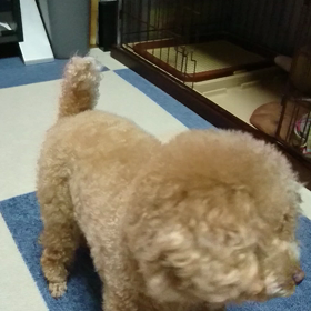 くさい？(笑)の画像