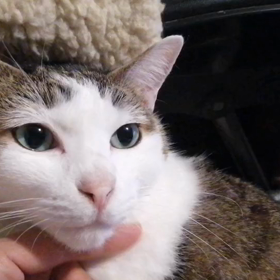 甘えん坊のアース姉さんの画像